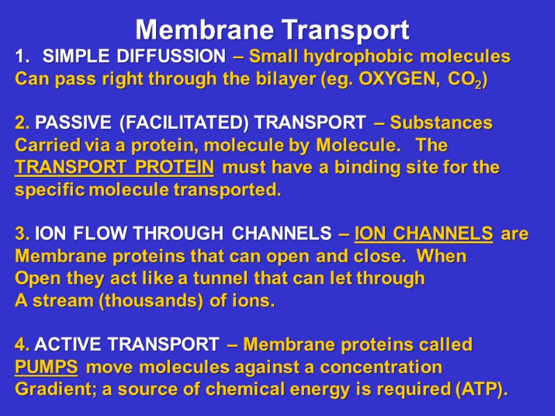 Membrane Transport SIMPLE DIFFUSSION – Small hydrophobic molecules Can pass right through the bilayer